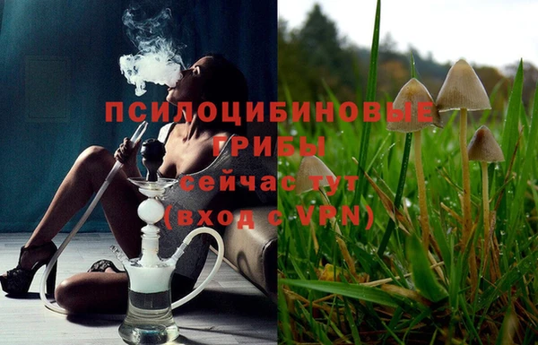 дурь Инсар