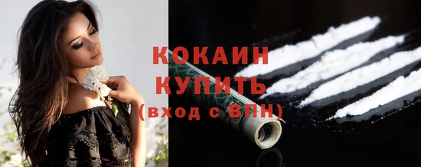 дурь Инсар