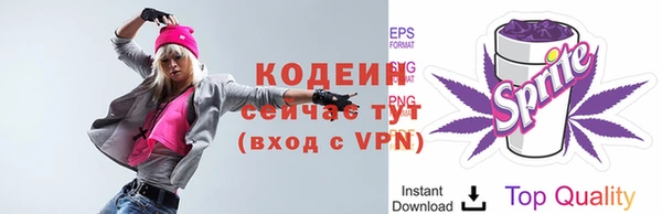 дурь Инсар