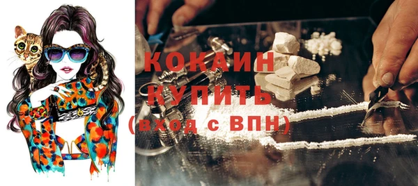 дурь Инсар
