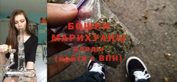 дурь Инсар