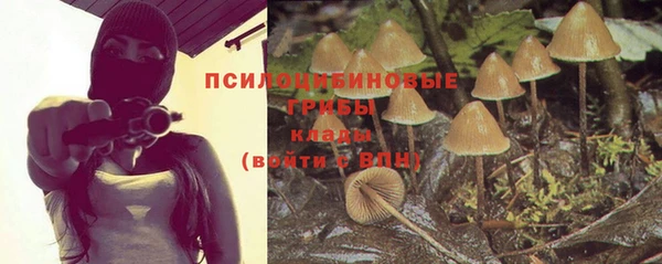 соль ск Иннополис