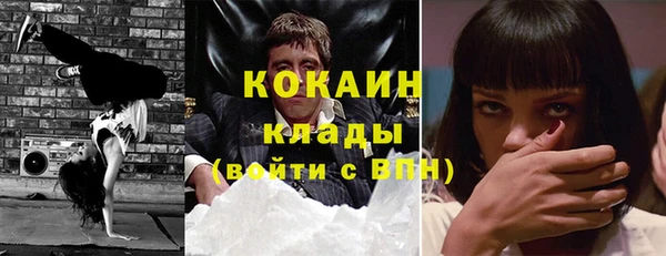 дурь Инсар