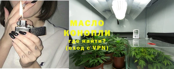 молекула духа Инта